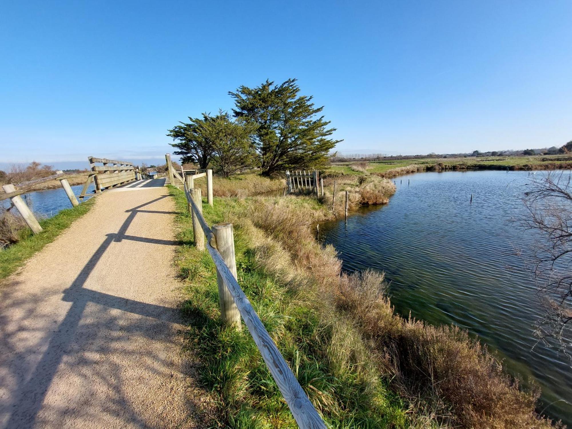 Studio La Salicorne Au Sables D'Olonne Les Sables-dʼOlonne Exteriér fotografie