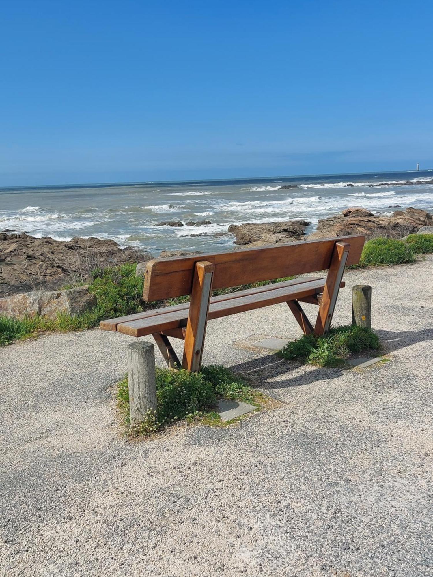 Studio La Salicorne Au Sables D'Olonne Les Sables-dʼOlonne Exteriér fotografie